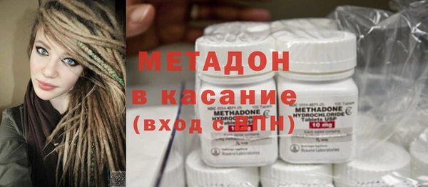 индика Нягань