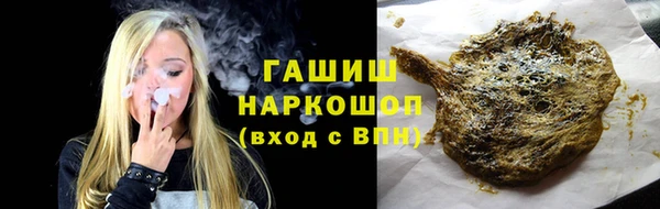 индика Нягань