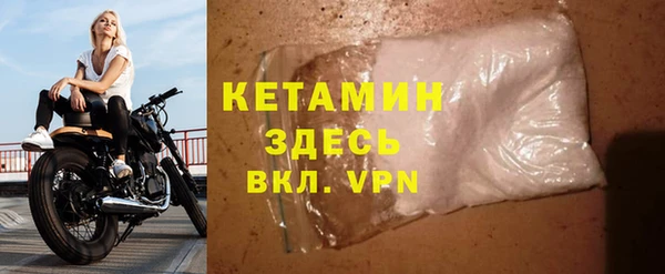 индика Нягань