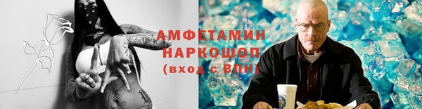 индика Нягань