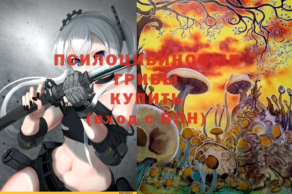 индика Нягань