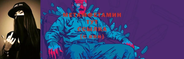 индика Нягань