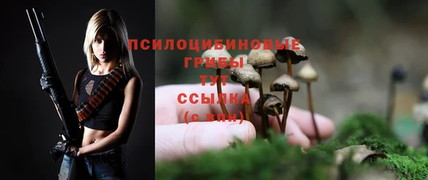 индика Нягань
