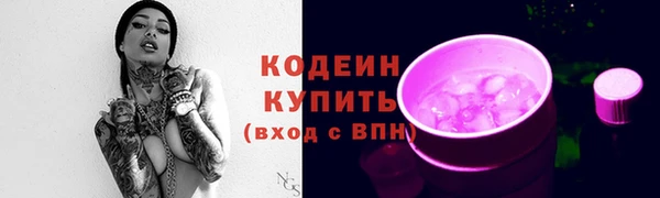 индика Нягань