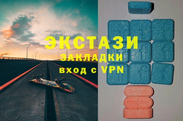 индика Нягань