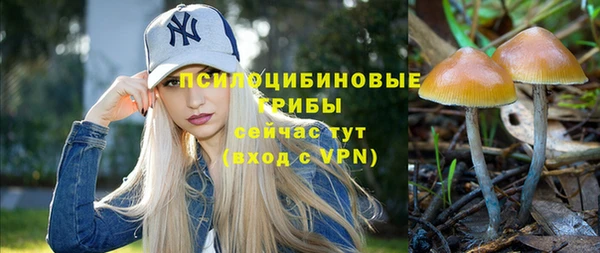 индика Нягань